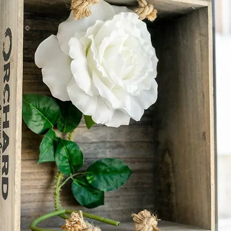 My Place @ Views Apartman Faro